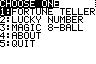 fortune