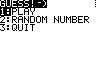 guess5