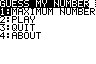 guessnum