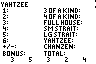 yahtzee2